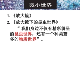 -：《放大镜下的晶体》