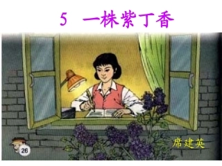 一株紫丁香课件 (2)