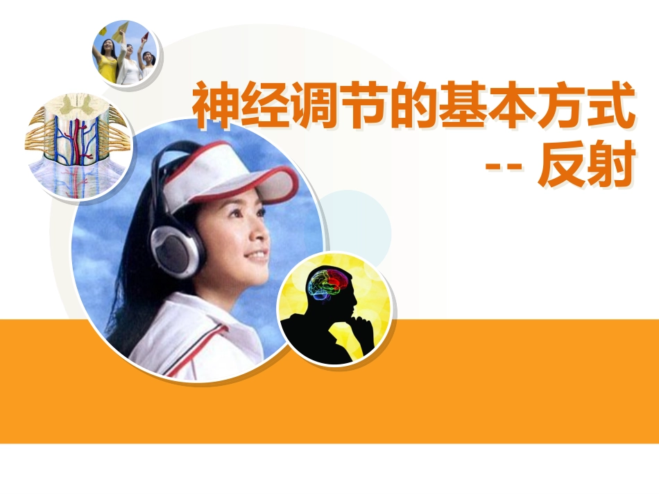 神经调节的基本方式—反射_第1页