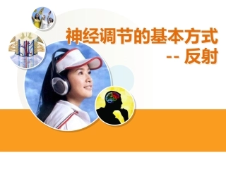 神经调节的基本方式—反射