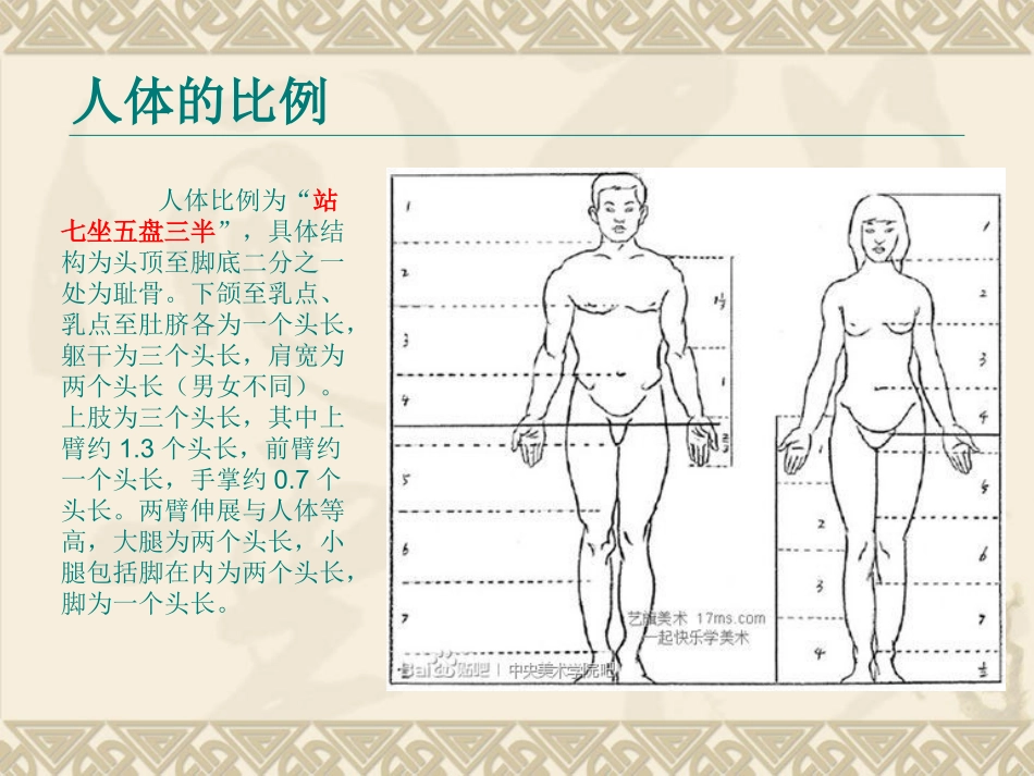 人物速写课件_第2页