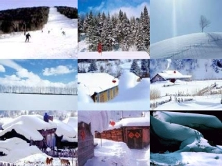 雪地里的小画家6