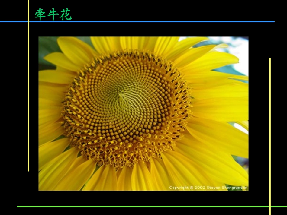 盘盘转转课件_第3页