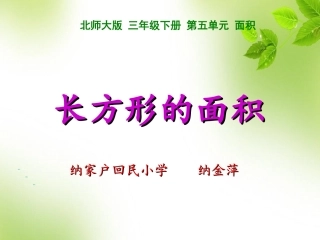长方形的面积
