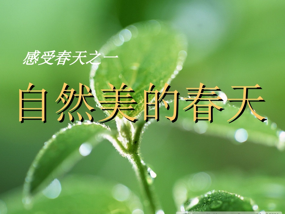 春天的畅想课件_第2页