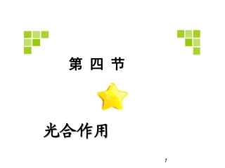 光合作用课件(罗楚旋)