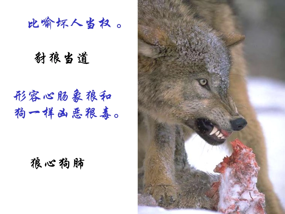 蒲松龄《狼》课件_第2页