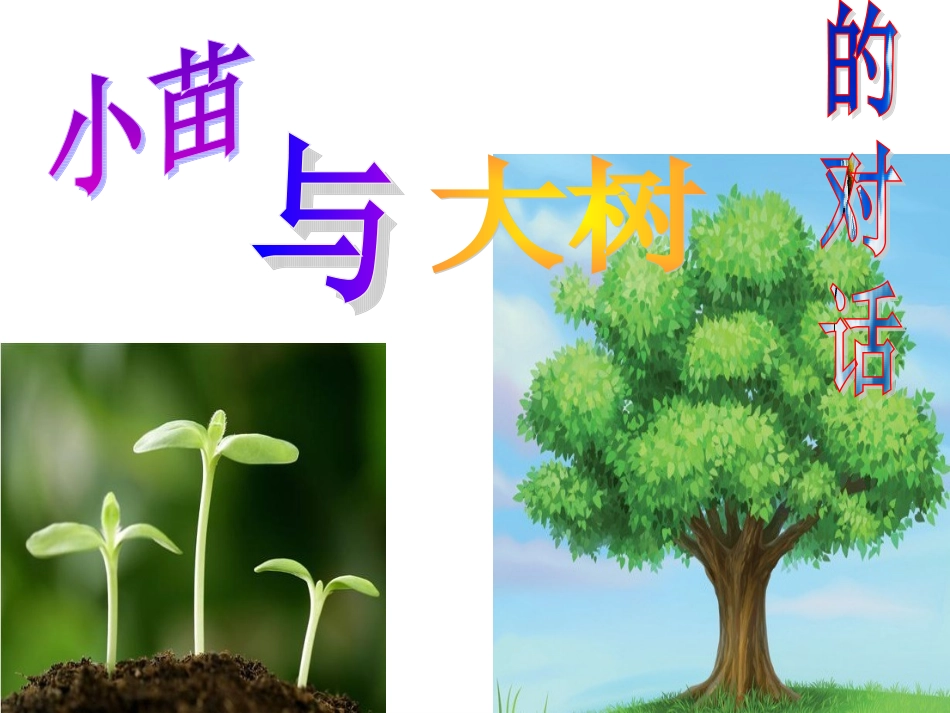 《小苗与大树的对话》课件_第1页