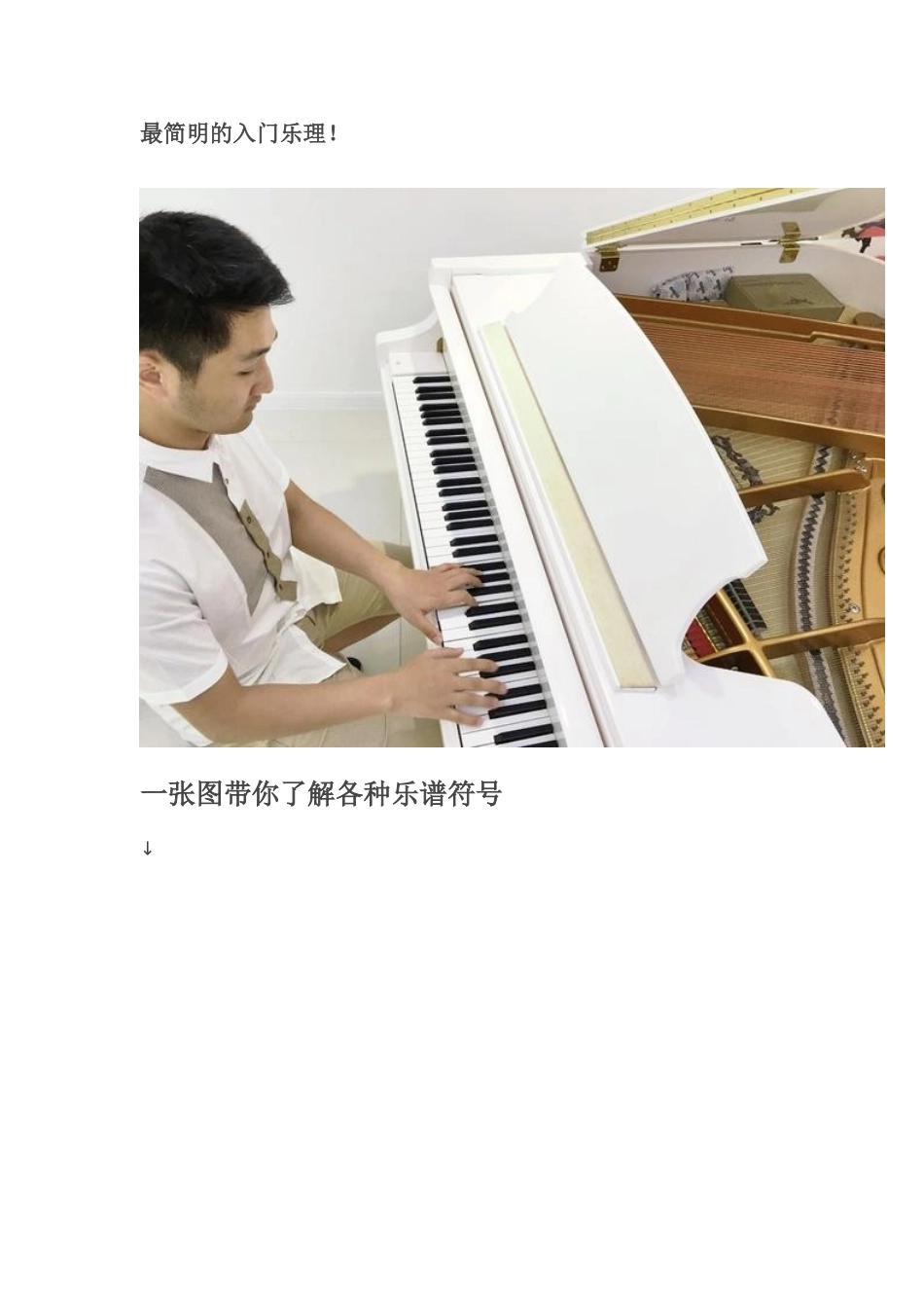 最简明的入门乐理_第1页