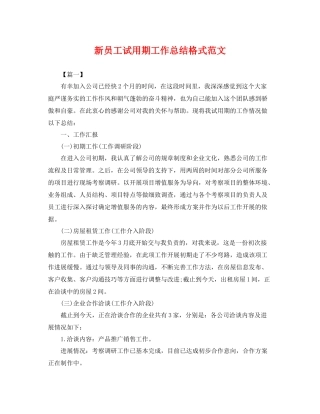 新员工试用期工作总结格式范文 