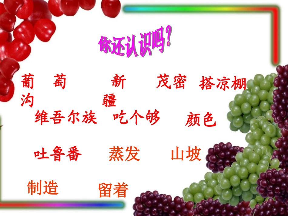 _葡萄沟_ ()_第2页