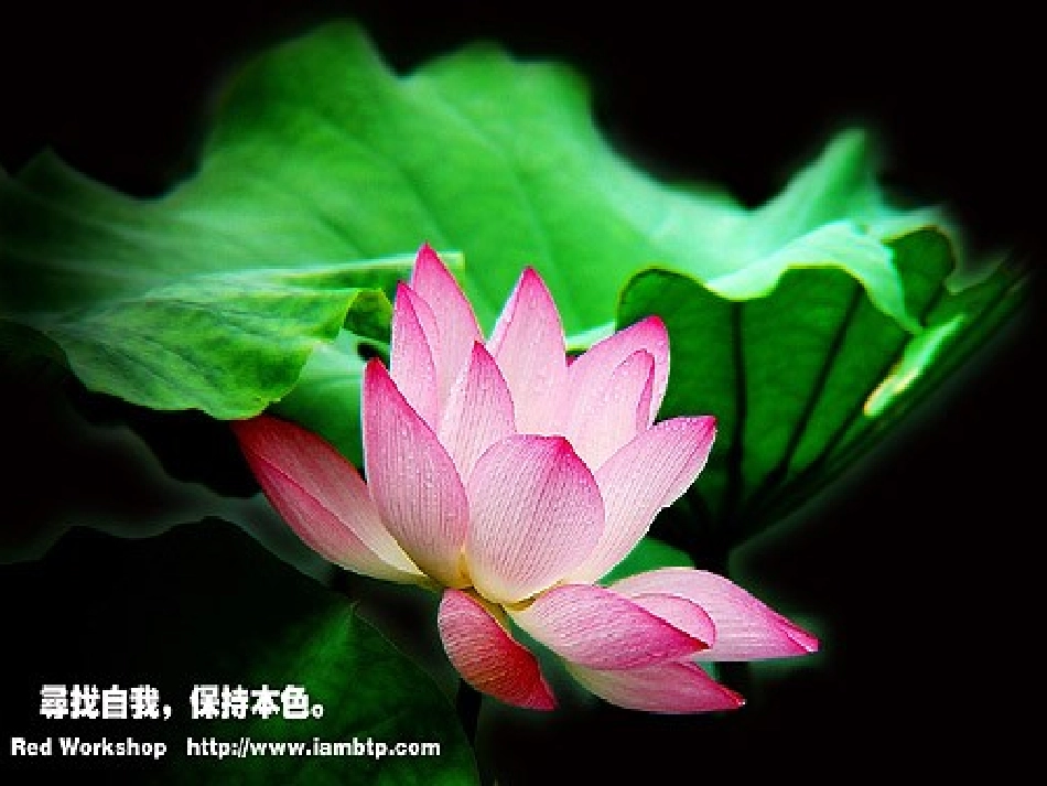 信息的获取课件_第2页