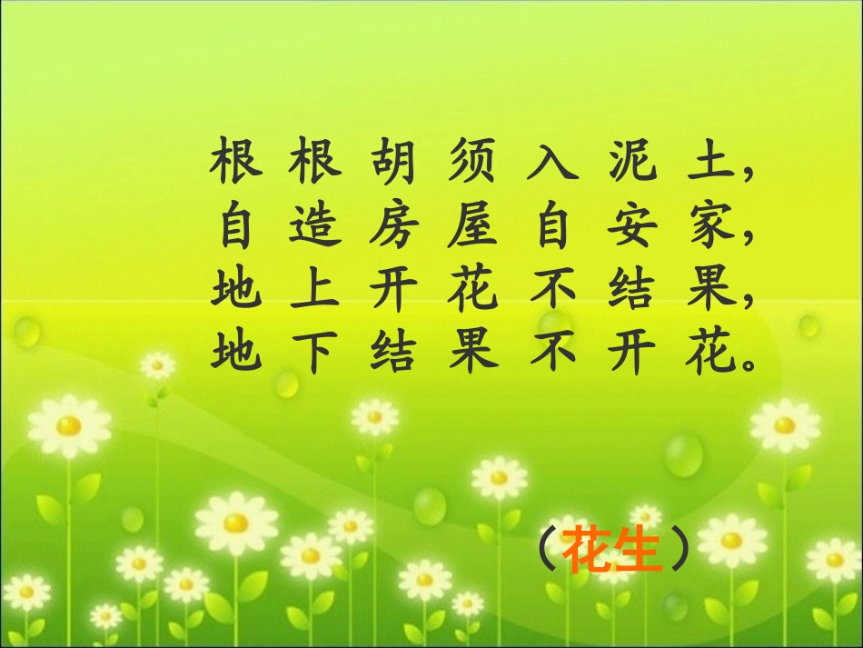 落花生课件课件_第2页