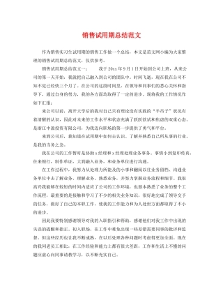 销售试用期总结范文 