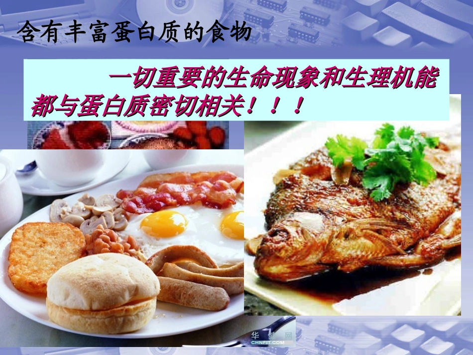 生命的基础—蛋白质_第2页