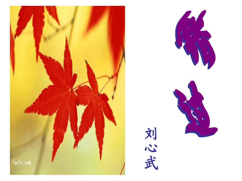 《错过》课件_第3页