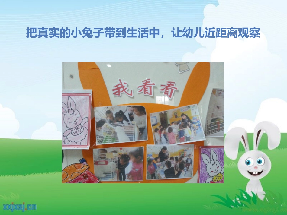 小兔乖乖PPT_第3页