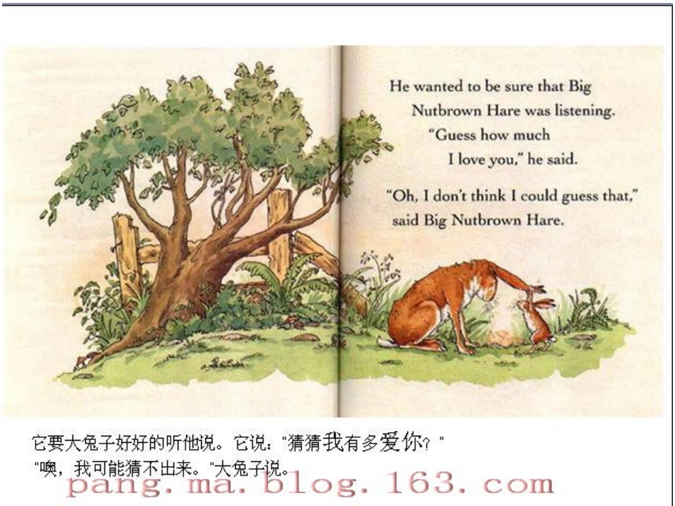 《猜猜我有多爱你》_第2页