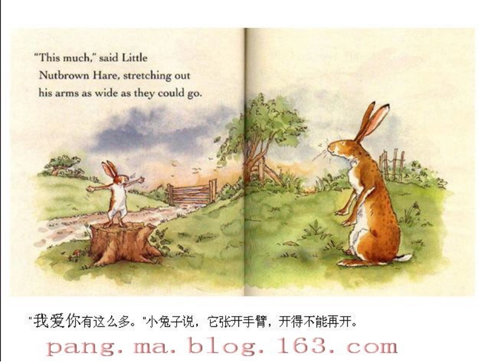 《猜猜我有多爱你》_第3页