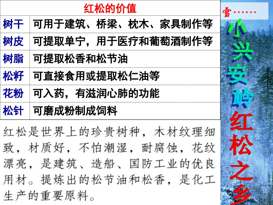 第六单元第一课《红松之乡》_第1页