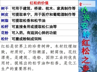 第六单元第一课《红松之乡》