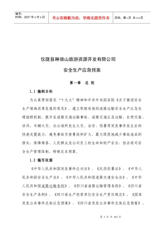 年安全生产预案(已改好)