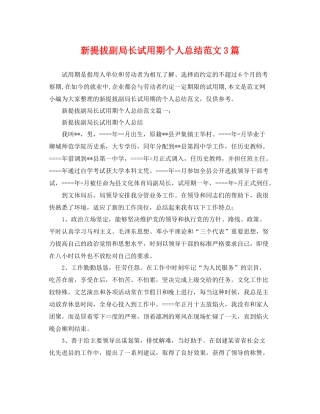新提拔副局长试用期个人总结范文3篇 
