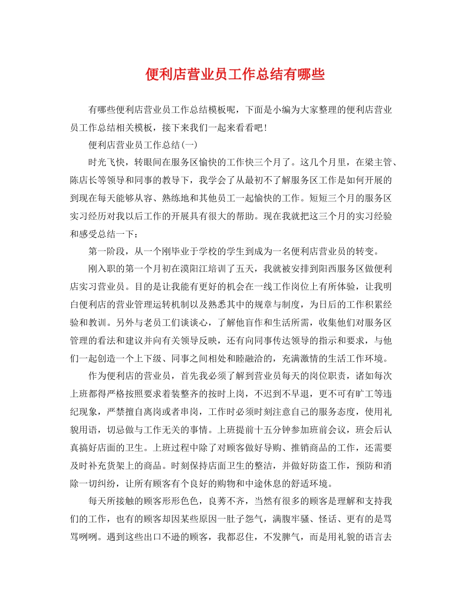 便利店营业员工作总结有哪些 _第1页