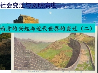 西方的兴起与近代世界的变迁（二）考点2324