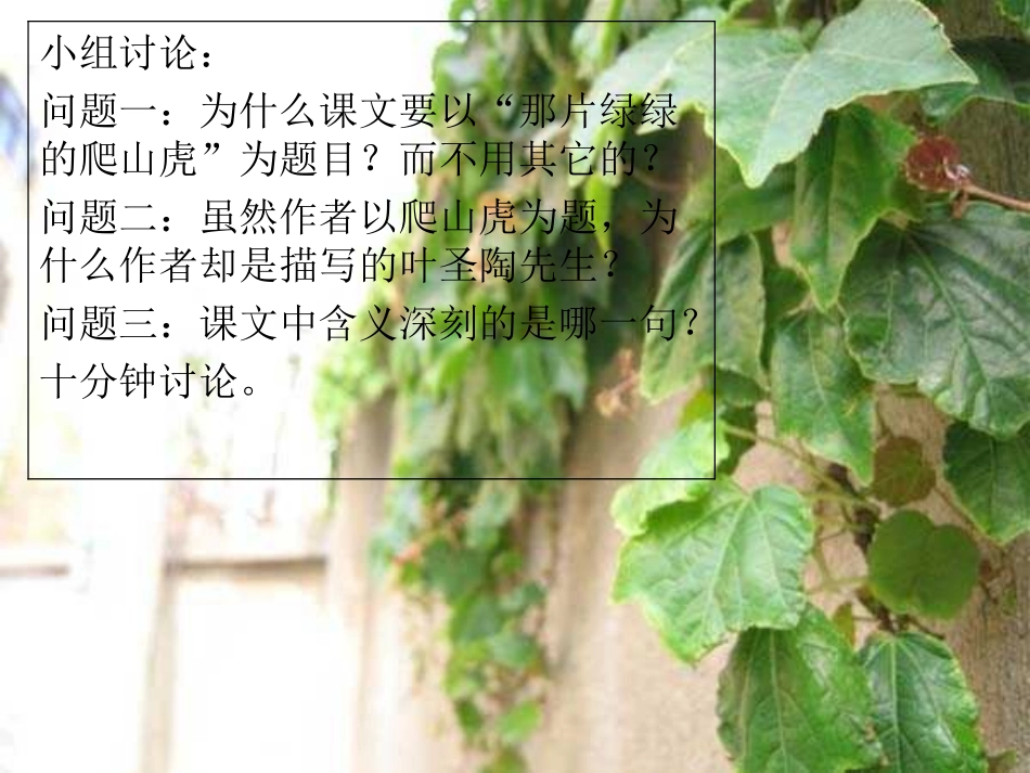 《那片绿绿的爬山虎》课件 (2)_第2页