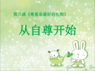 《尊重是最好的礼物》课件