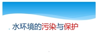 水环境的污染与保护PPT
