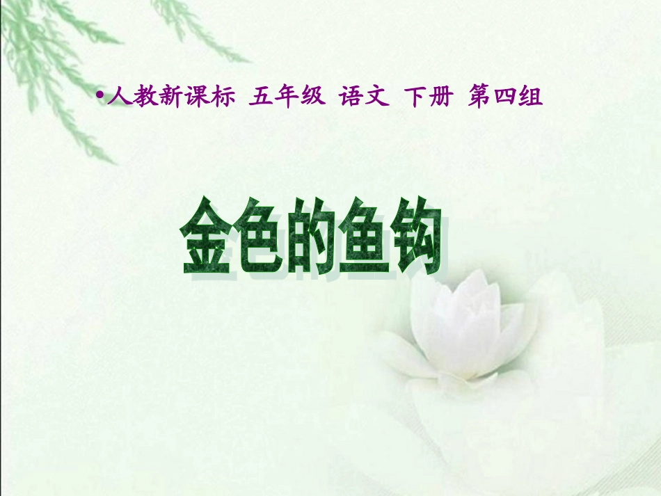 金色的鱼钩课件_第1页