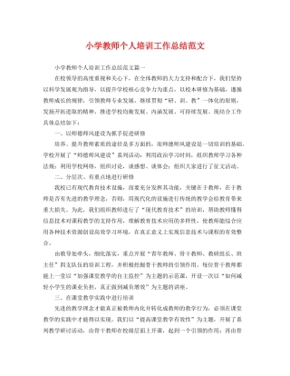 小学教师个人培训工作总结范文 