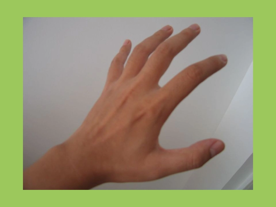 认识自己的身体_第2页