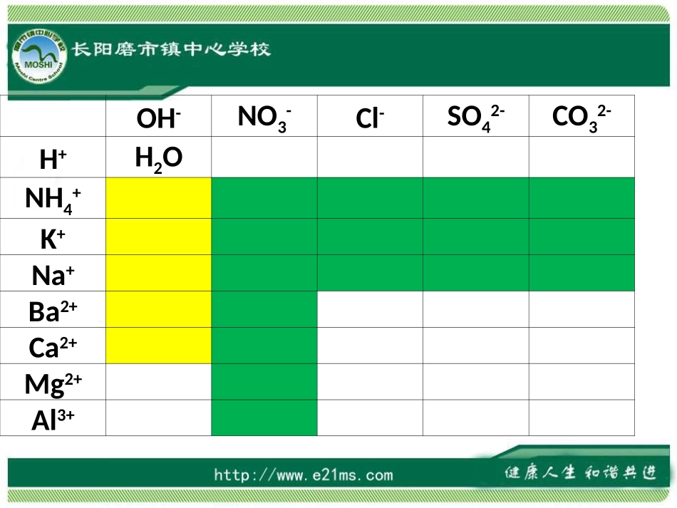 -酸碱盐的溶解性离子共存_第2页