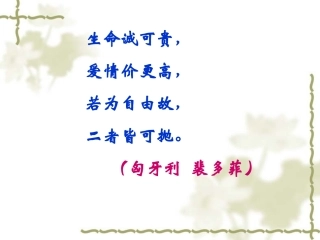 鱼我所欲也课件