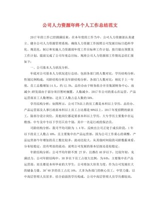 公司人力资源年终个人工作总结范文 