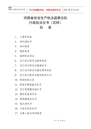 某省安全生产执法监察总队行政执法文书