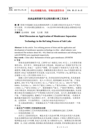 浅谈盐湖资源开发过程的膜分离工艺技术