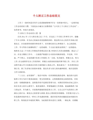 个人转正工作总结范文 