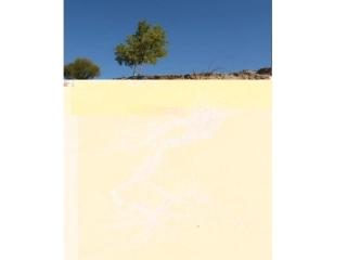青山不老课件