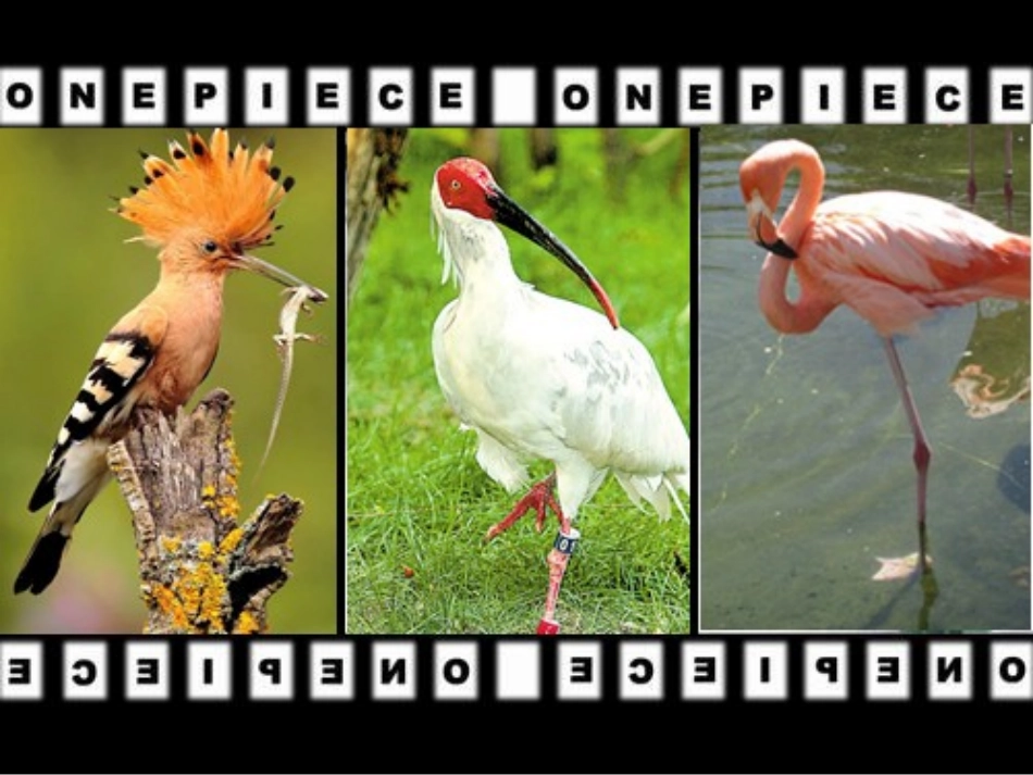 PEP三上U4bLet'slearn_第2页