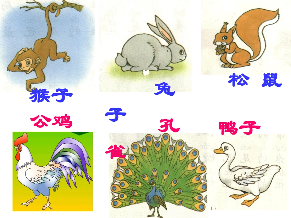 比尾巴课件(4)_第3页