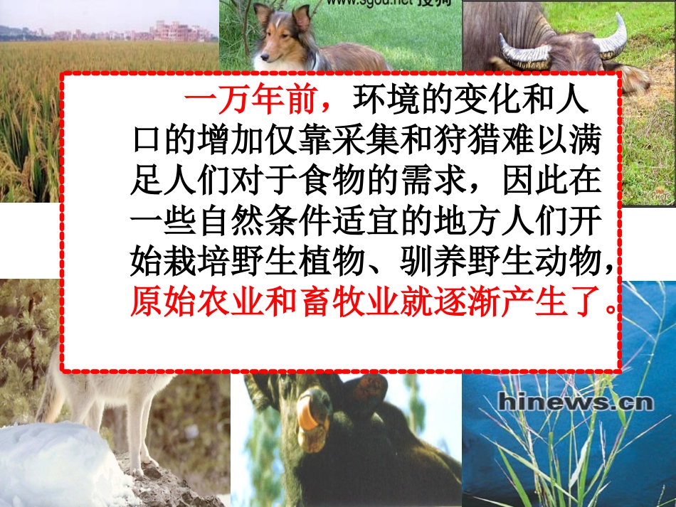 走访原始的农业聚落_第3页