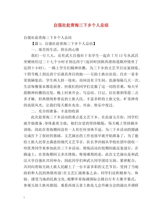 自强社赴青海三下乡个人总结 