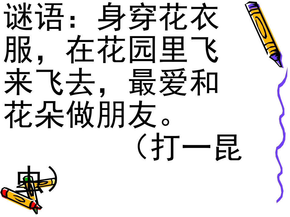 科学活动：蝴蝶_第1页