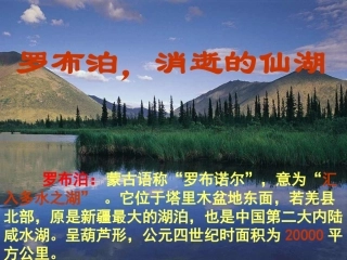 罗布泊，消逝的仙湖 (2)