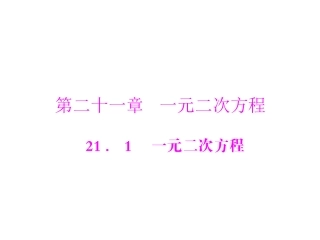 一元二次方程 (3)