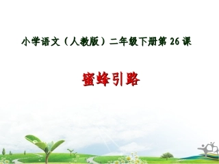 《蜜蜂引路》教学课件 (2)